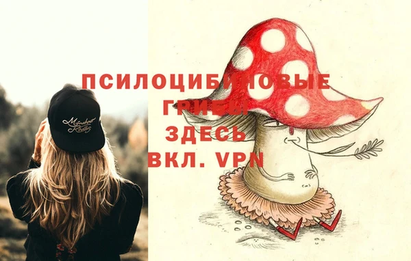 прущая мука Верея