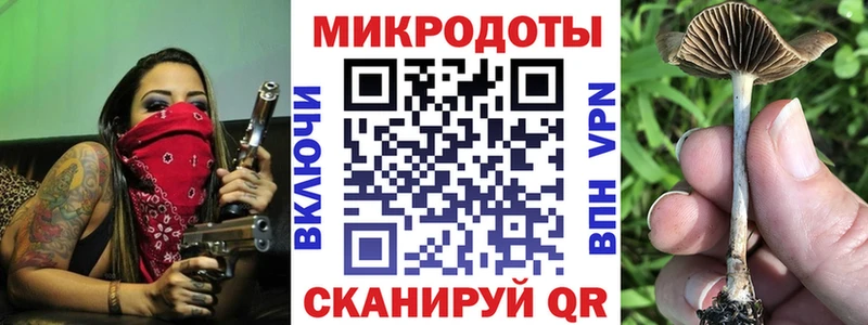 Купить закладки  Мытищи  Псилоцибиновые грибы прущие грибы 